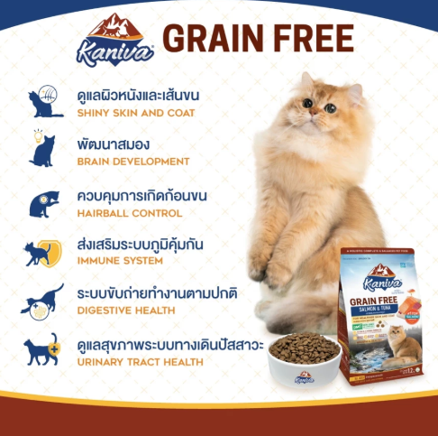 Grain Free Indoor Cat   2