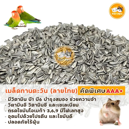 เมล็ดทานตะวัน คัดพิเศษ 3