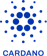 Cardano Foundation เหรียญ Crypto Cardano 1