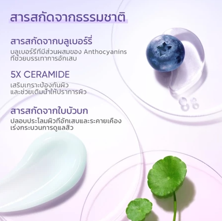Blueberry Ceramide Moisturizer 3