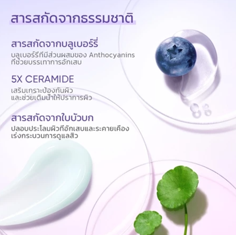 Blueberry Ceramide Moisturizer 3