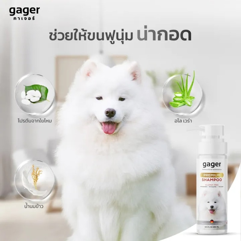 Premium Shampoo 3