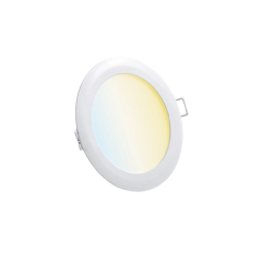 Smart Downlight