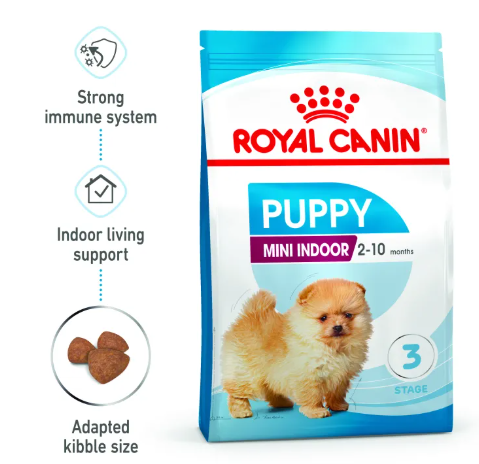 Mini Indoor Puppy 2