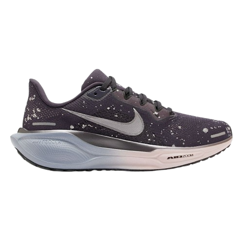 Pegasus 41 SE 1