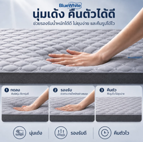 ที่นอนยางพารา 4 ฟุต 2