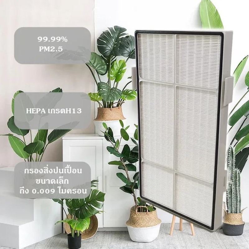 Hepa + Carbon Filter 2