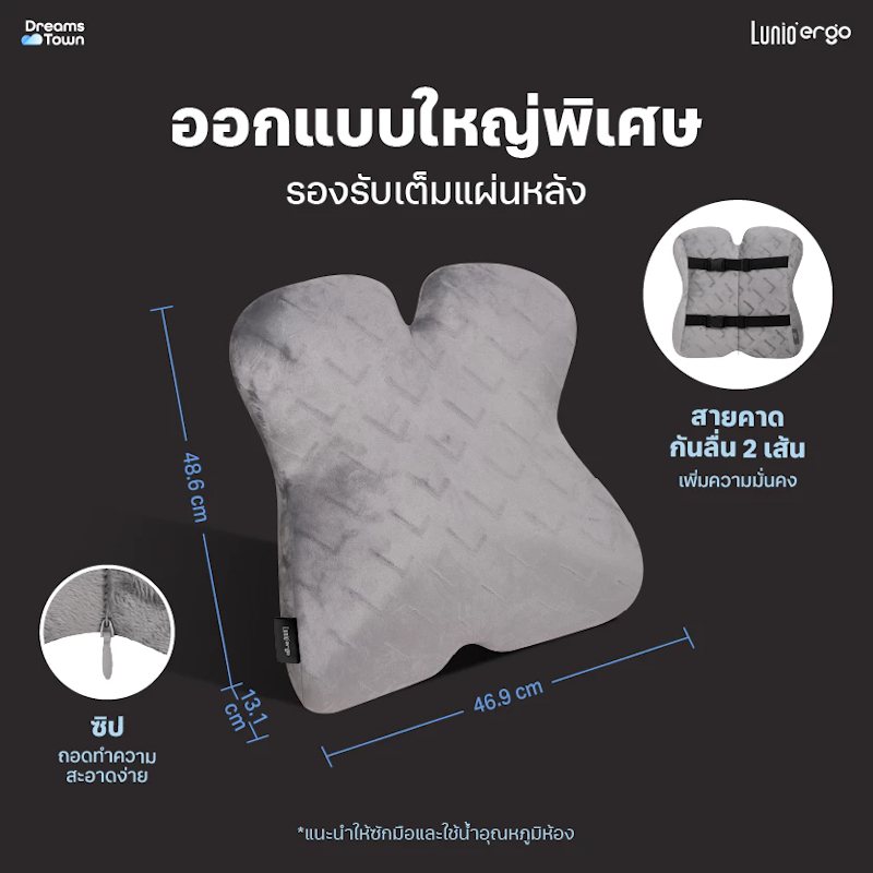 เบาะรองหลัง รุ่น Pro Back Cushion 2