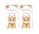 LOLA VISION คอนแทคเลนส์สายตา Monthly Color Soft Contact Lens 1