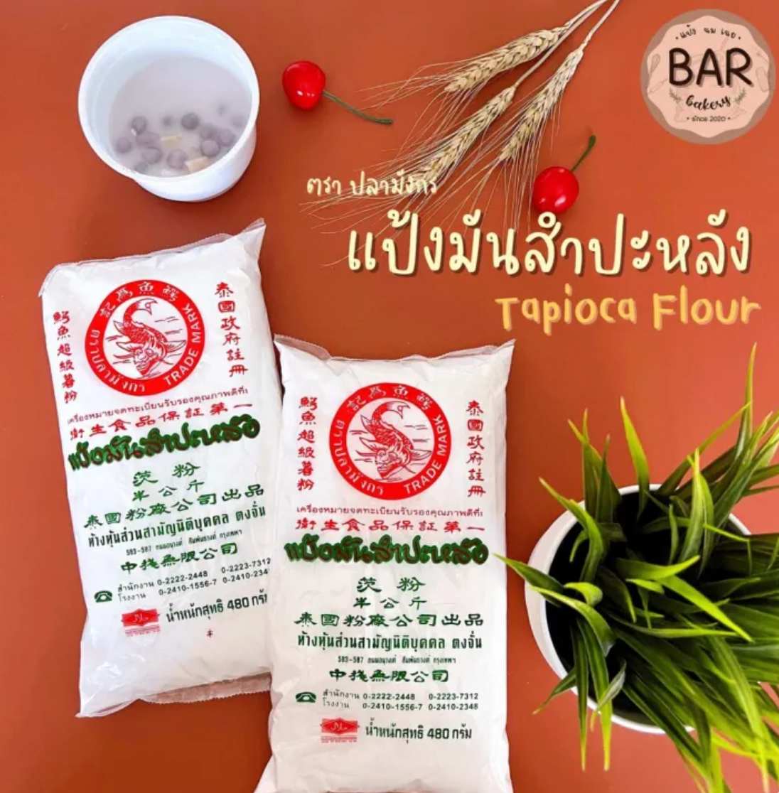 แป้งมันสำปะหลัง 2