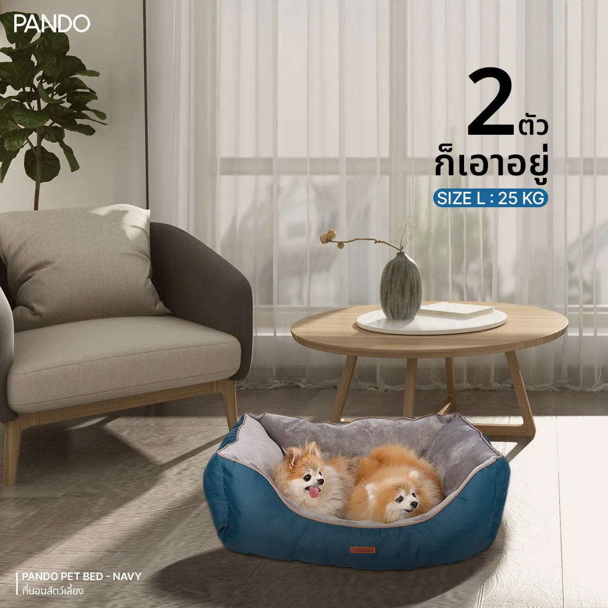 Pet Bed 4