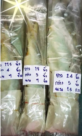 ปลากุเลาเค็ม 3