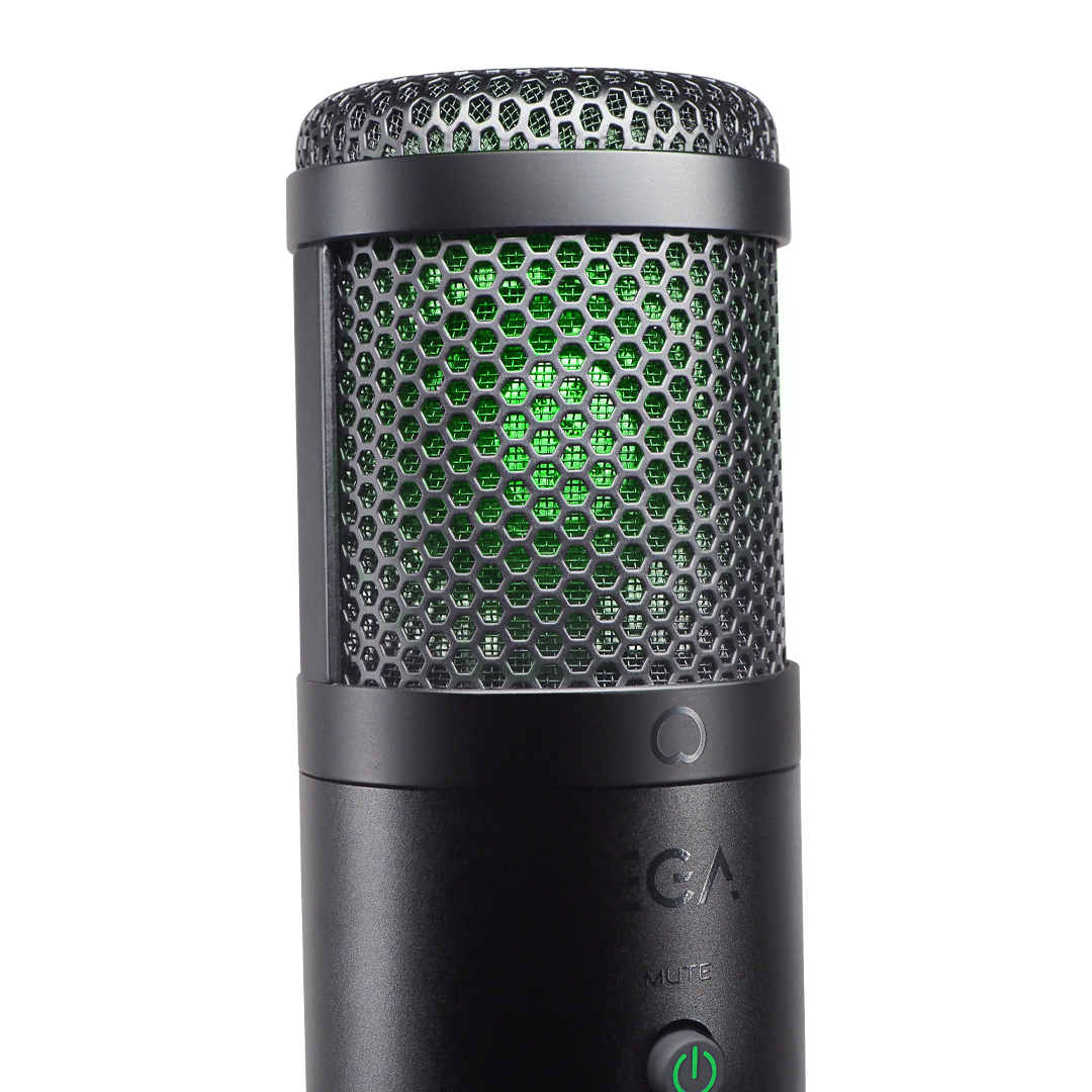 TYPE MC4 Condenser Microphone  2