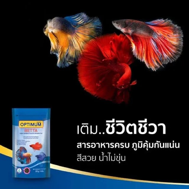 อาหารปลากัดปลากัดทุกสายพันธุ์ 3