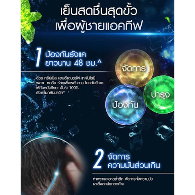 แชมพู Men Cool Sport Menthol Shampoo 3