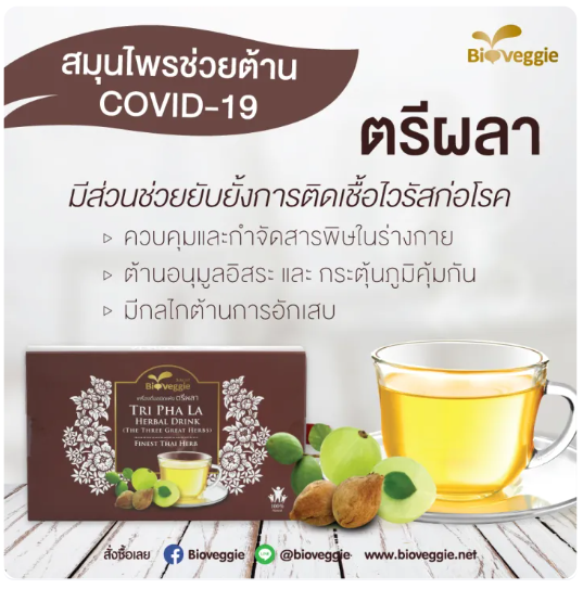 ตรีผลา Tri Pha La Herbal Drink  2