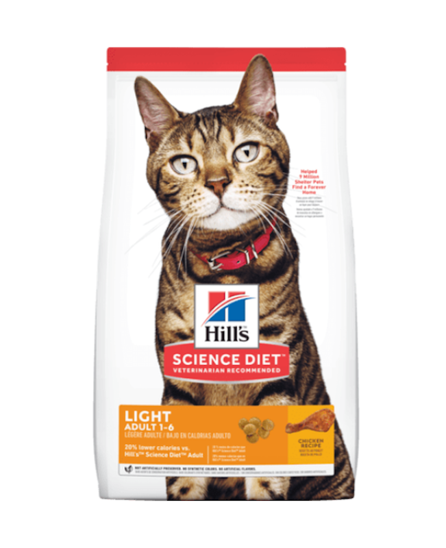 Light Adult 1