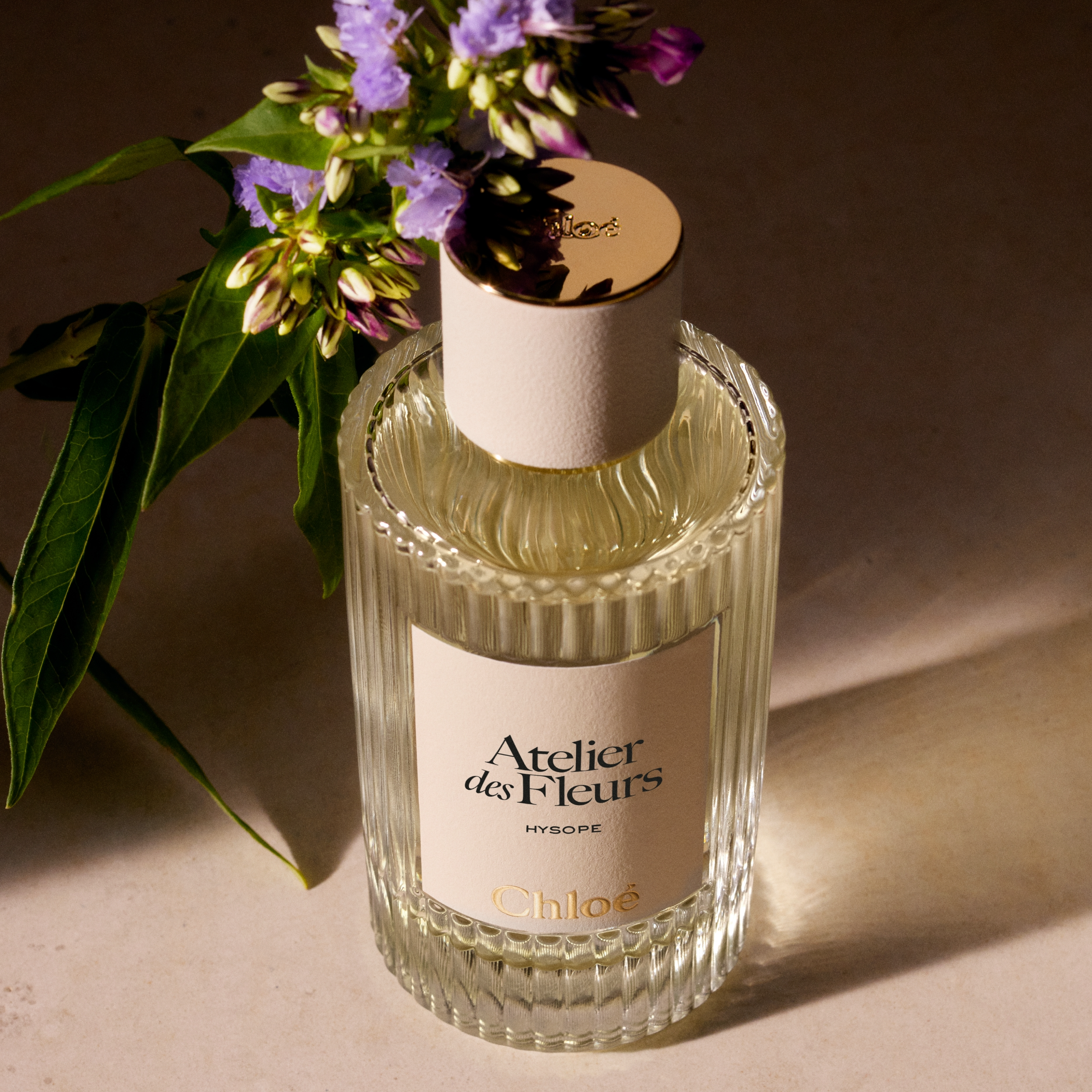 Atelier Des Fleurs Hysope 3