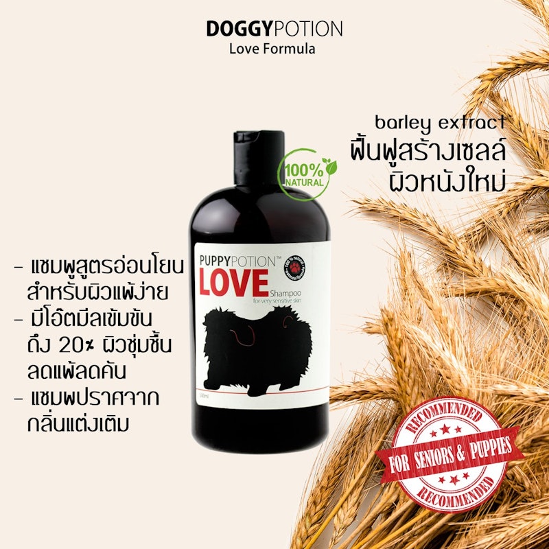 Love Shampoo สูตรสำหรับผิวแพ้ง่าย 3