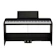 KORG เปียโน รุ่น B2SP 1