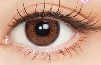 My Days Contact Lens Maron Brown 3