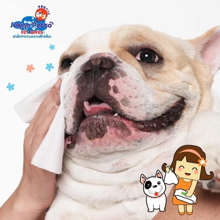 Pet Wipes ผ้าเช็ดทำความสะอาดสัตว์เลี้ยง สูตร Himalayan Salt 3