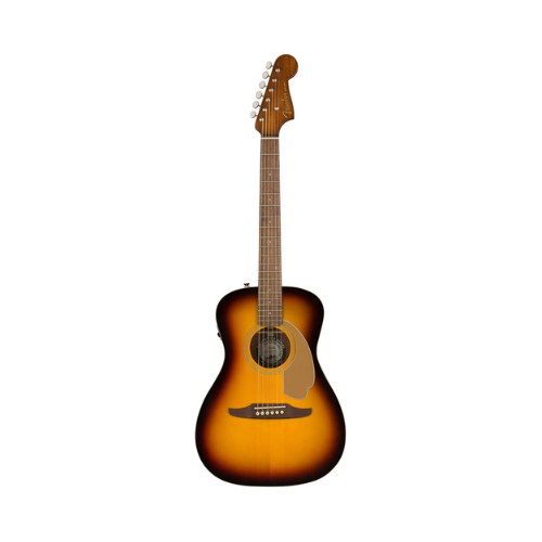 Malibu Player Acoustic Electric Guitar 2