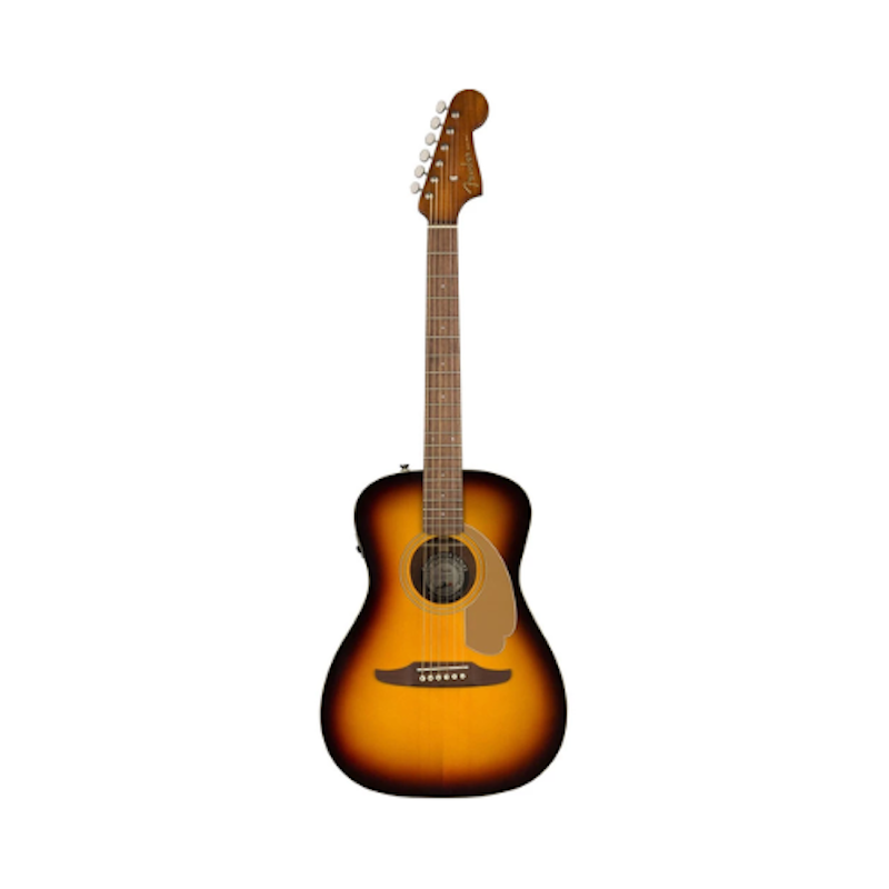 Malibu Player Acoustic Electric Guitar 2
