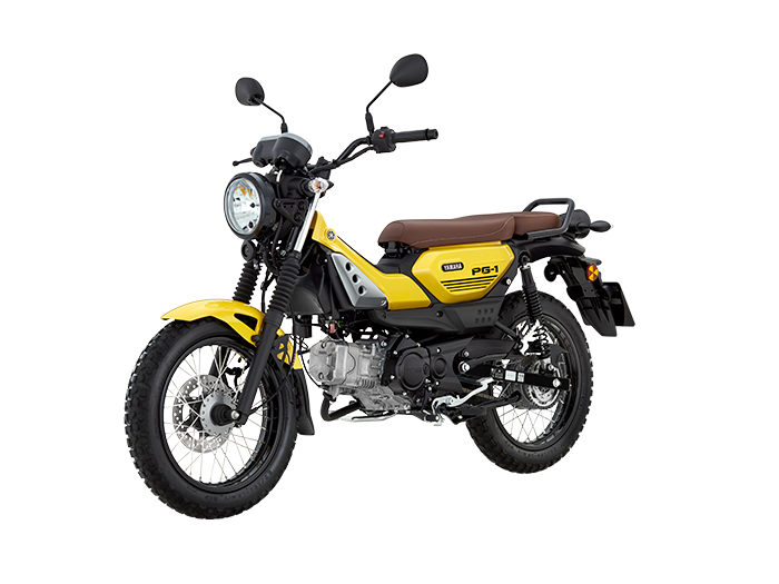 YAMAHA PG-1 1