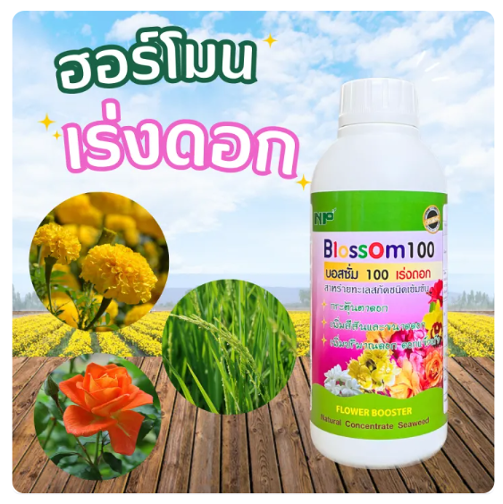 ปุ๋ยเคมี รุ่น Blossom 3