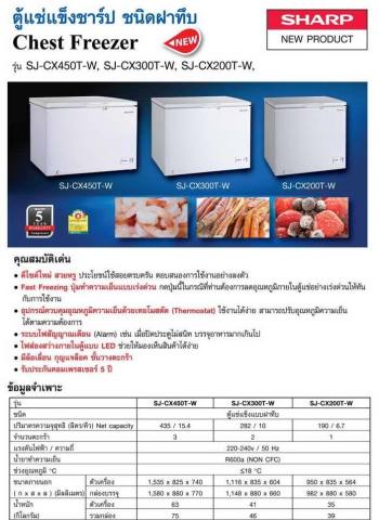 Chest Freezer ตู้แช่แข็ง 2