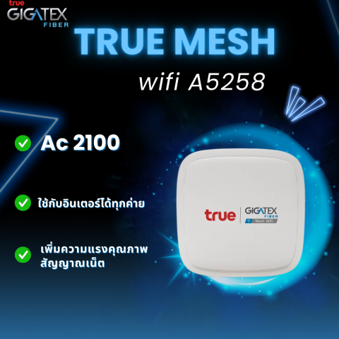 Gigatex Mesh Wi-Fi รุ่น A5258 3