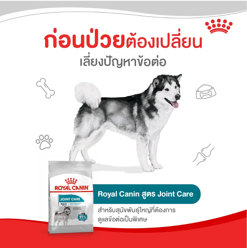 Maxi Joint Care 2