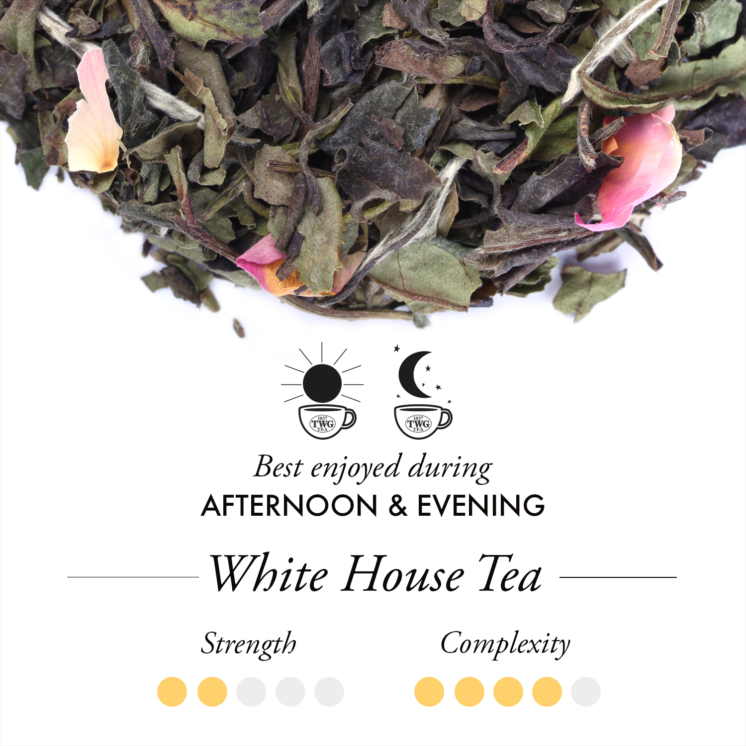 Tea White House 2