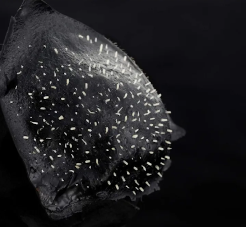 Gabaiyoka Pack Peeling Black Charcoal 4