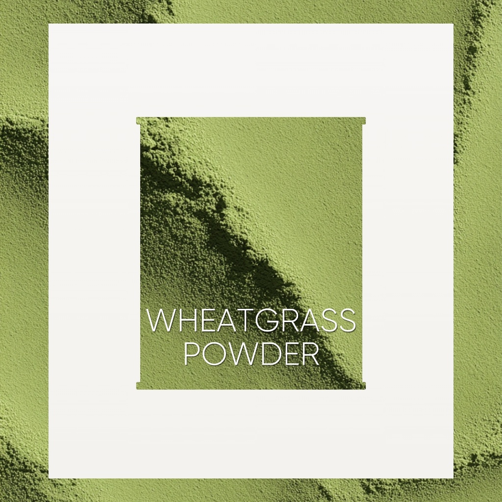 ผงต้นอ่อนข้าวสาลี Organic Wheat Grass Powder 3