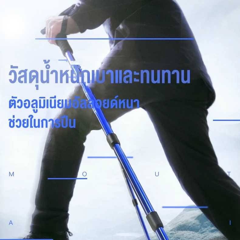 ไม้เท้าเดินป่า 3