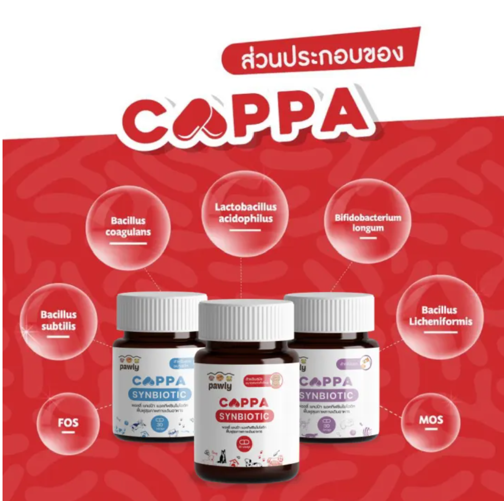 Cappa Synbiotic 3