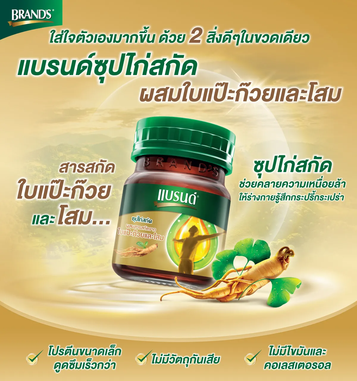 ซุปไก่สกัดผสมสารสกัดจากใบแปะก๊วยและโสม 2