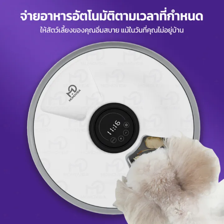  เครื่องป้อนอาหารสัตว์เลี้ยงอัตโนมัติ 6 Meals รุ่น PF - 01 2