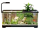 Aimayapet ตู้ปลา 1