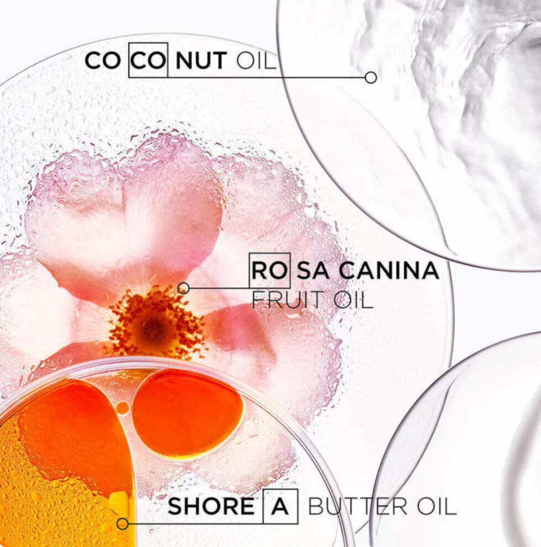 แชมพู Discipline Oleo-relax Shampoo For Anti-frizz And Unruly Hair 3