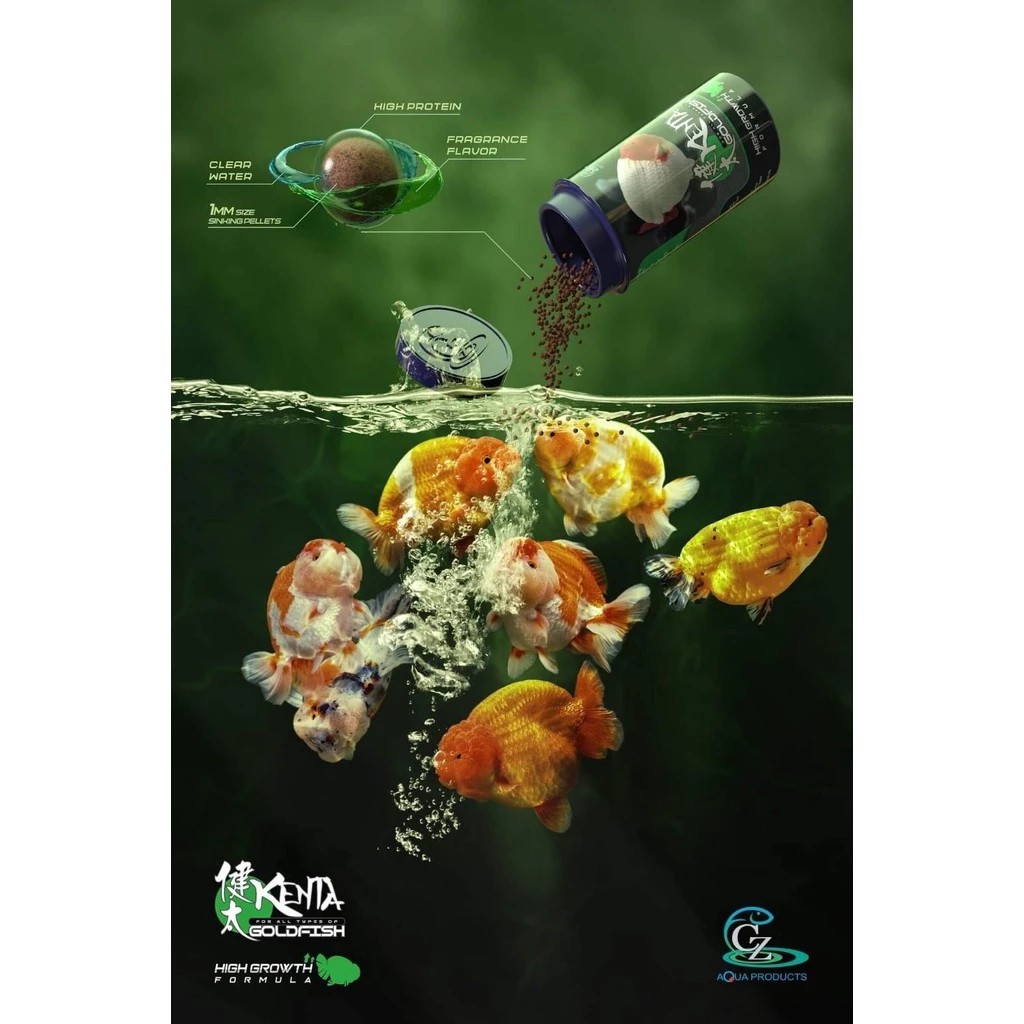 GoldFish Food 2