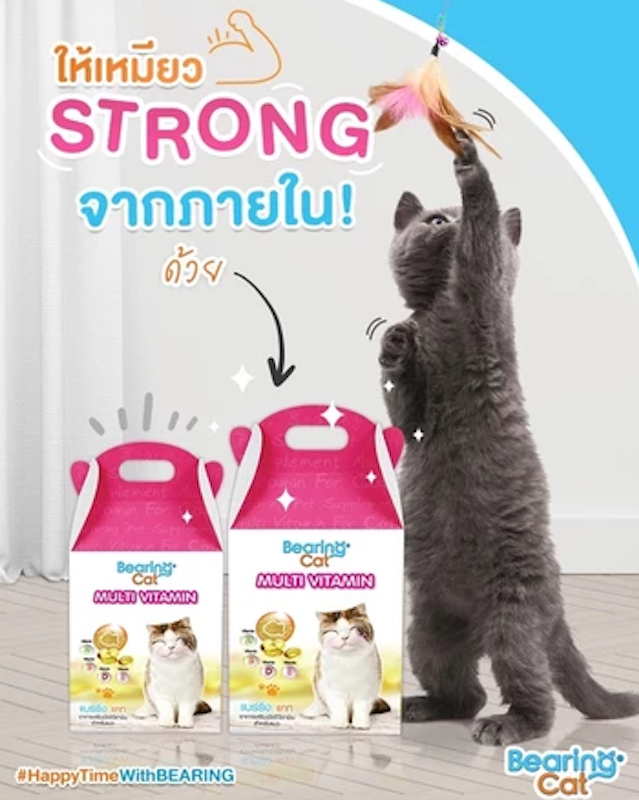 Multi Vitamin วิตามินรวมสำหรับแมว 2