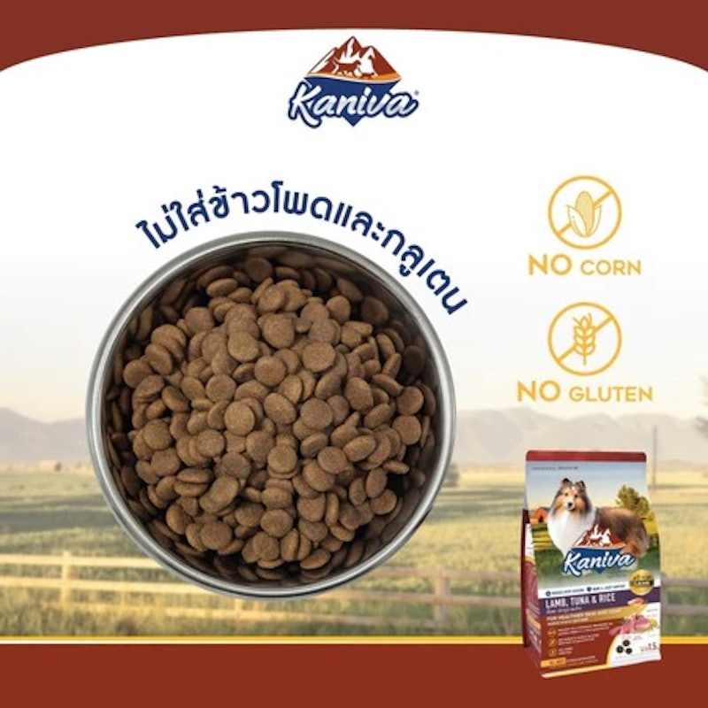 Dog Food Lamb, Tuna & Rice 2