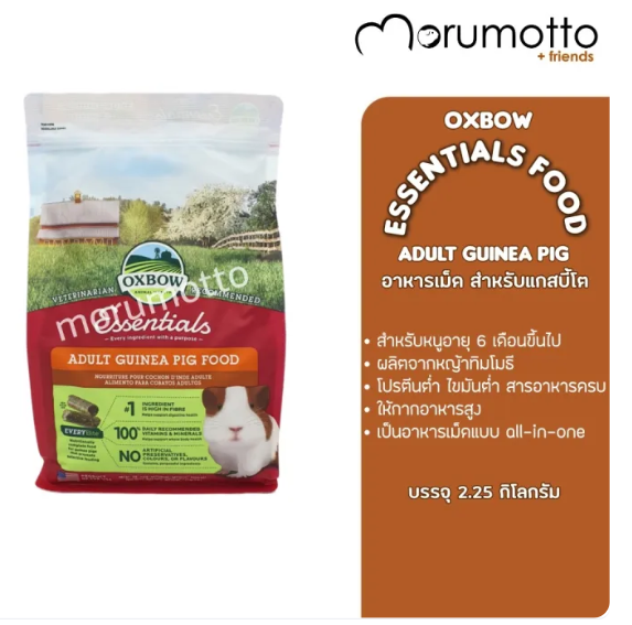 อาหารหนูแกสบี้โต Essentials Adult Guinea Pig Food 3