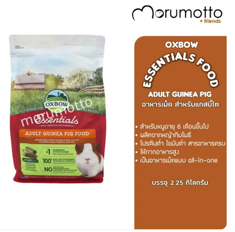 อาหารหนูแกสบี้โต Essentials Adult Guinea Pig Food 3