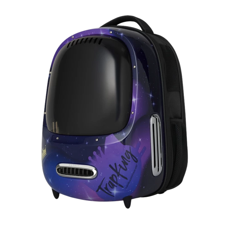 Cat Breezy Bag 2.0 1