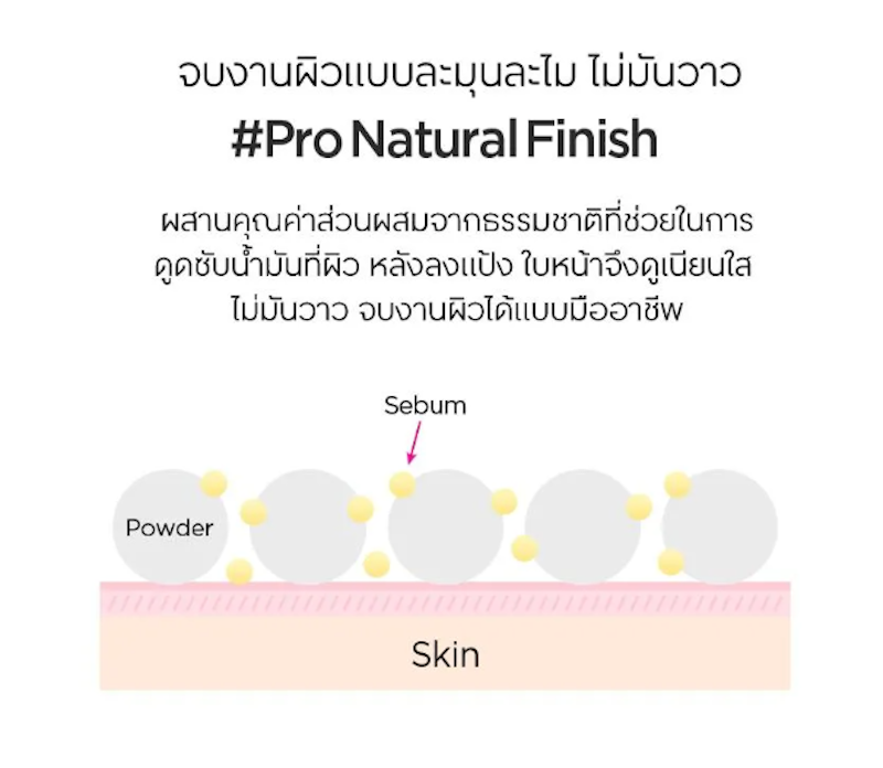 Pro-Lasting Finish Powder 3