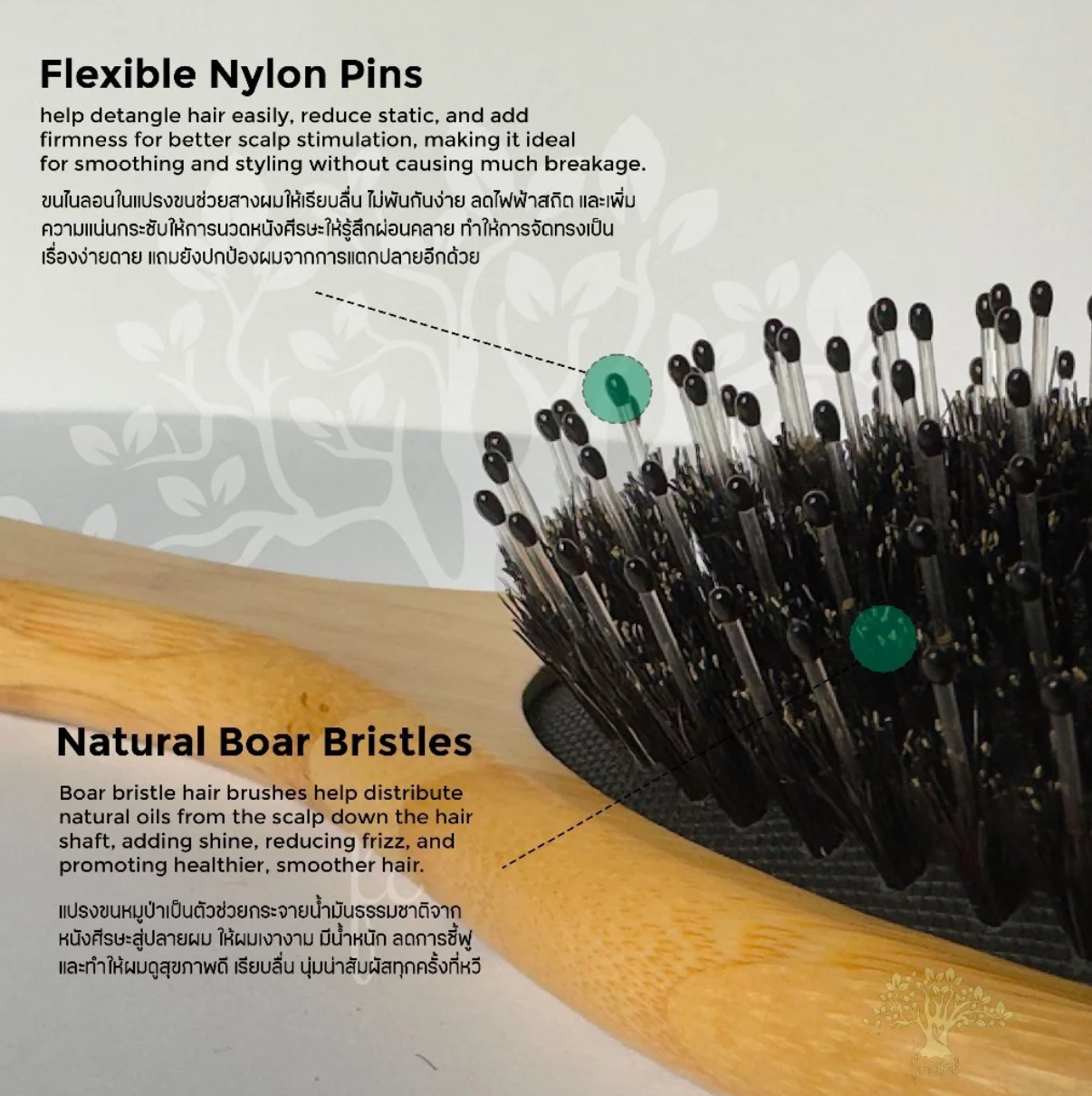 Boar Bristle hair brush หวีขนหมูป่า 3